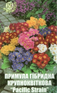 Семена примулы гибридной крупноцветочной PACIFIC STRAIN
