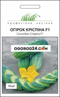 Семена огурца Криспина F1