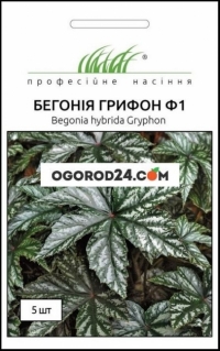 Бегония крупнолистовой Грифон F1