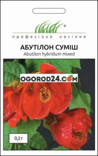 Семена Абутилон смесь