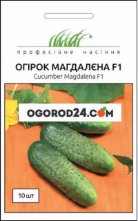 Семена огурца Магдалена F1