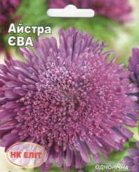 Семена астры Ева