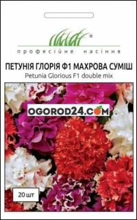 насіння петунія махрова Глорія F1