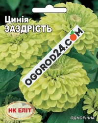 Семена циннии Зависть