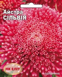 Семена астры Сильвия
